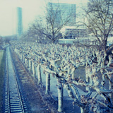 Random pics - click here to change them!