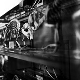 Random pics - click here to change them!