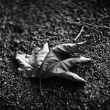 Random pics - click here to change them!