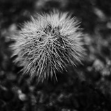 Random pics - click here to change them!
