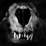 Random pics - click here to change them!