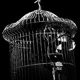 Random pics - click here to change them!