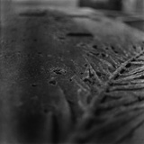 Random pics - click here to change them!